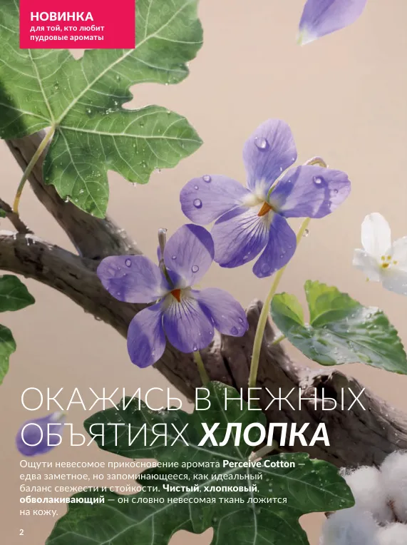 Стр. 2